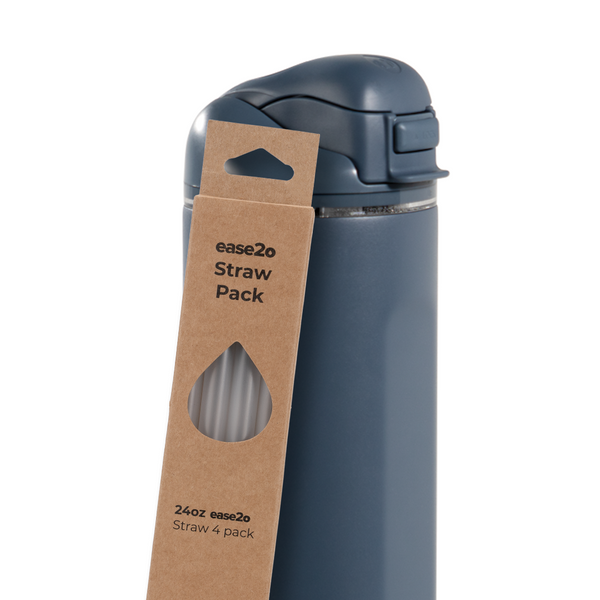 Ease2o Straws 4 Pack 24oz v3218